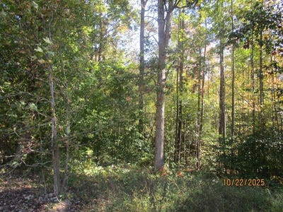 /international/us/709-pleasant-oak-victoria-va-110103063651/