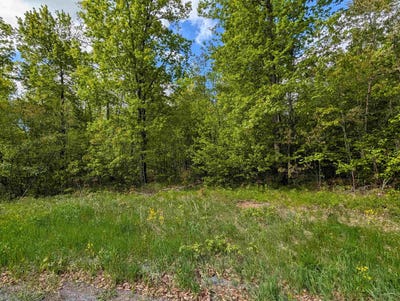 /international/us/lot-9-acorn-ridge-estates-subdivision-mosinee-wi-110099674600/?lang=es