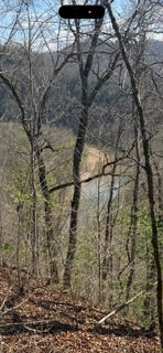 /international/us/morris-cemetery-road-hyden-ky-110108226986/