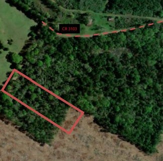/international/us/3-50ac-county-road-3103-call-tx-110120517415/