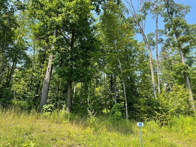 /international/us/lot-44-hemlock-hills-rd-towanda-pa-110090761127/?lang=zh-tw