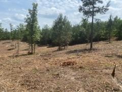 /international/us/0-englewood-dr-abbeville-al-110084560834/
