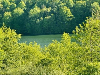 /international/us/570-lakeview-drive-horner-wv-110106124908/
