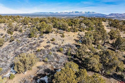 /international/us/road-35-3-mancos-co-110105722601/