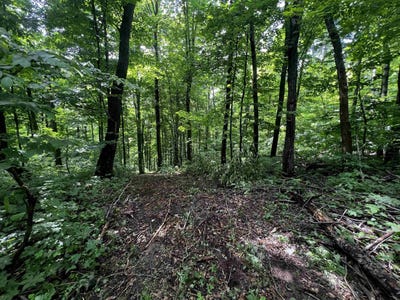 /international/us/21-5-acres-monarch-avenue-lot-3-kendall-wi-110103250730/