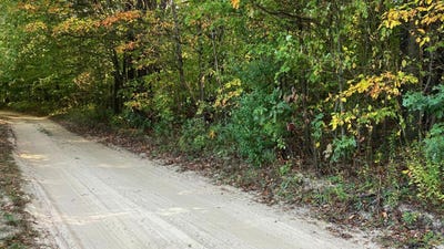 /international/us/vl-8th-avenue-grand-junction-mi-110103123037/
