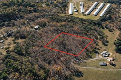 /international/us/178-county-road-737-calhoun-tn-110120587655/
