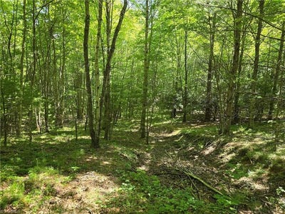 /international/us/tbd-50-deer-spring-lane-west-jefferson-nc-110103304702/