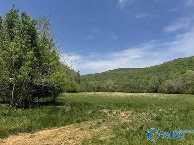 /international/us/210-acres-county-road-604-hollytree-al-110106348343/