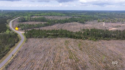 /international/us/mosley-road-lot-rr-lot-9-stapleton-al-110108630722/