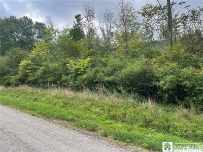 /international/us/godfrey-hollow-road-olean-ny-110097913464/?lang=zh-tw