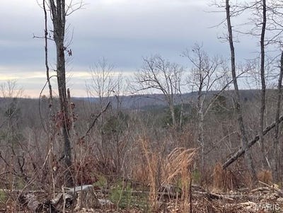 /international/us/181-madison-cr-410-fredericktown-mo-110104194324/