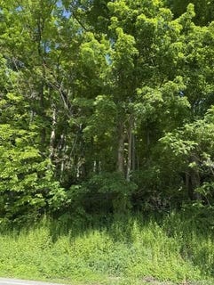 /international/us/487-sprout-brook-road-garrison-ny-110108190368/