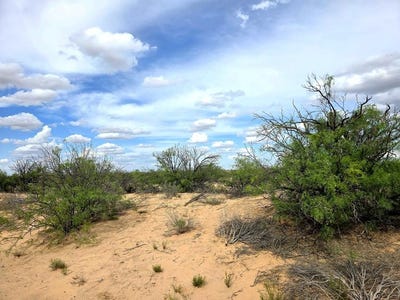 /international/us/sands-st-imperial-tx-110109024062/