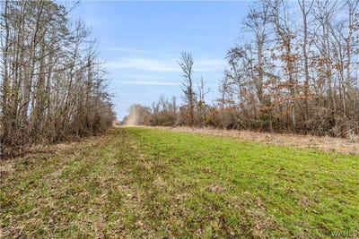 /international/us/county-rd-12-carrollton-al-110106036969/