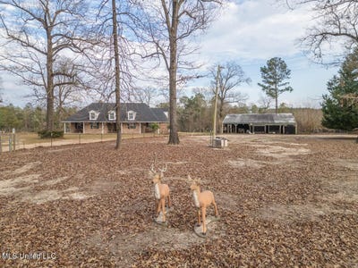 /international/us/523-dunnam-road-leakesville-ms-110105022037/