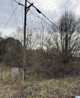 /international/us/quarry-road-lot-4-sylacauga-al-110109087436/
