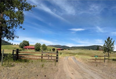 /international/us/1239-kewa-meteor-rd-inchelium-wa-110100844449/