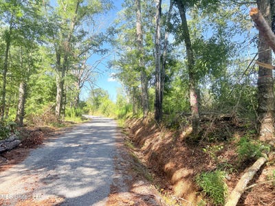 /international/us/r-t-womack-road-mendenhall-ms-110101192955/?lang=it