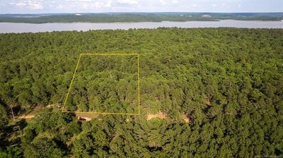 /international/us/tower-atoka-ok-110108396401/