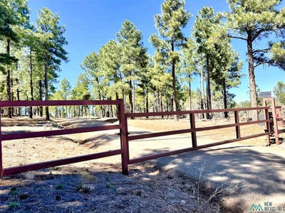 /international/us/30-s-verga-drive-tijeras-nm-110106676437/
