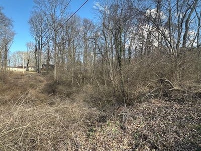 /international/us/lagrange-st-north-tazewell-va-110106306194/