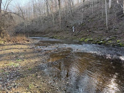 /international/us/4604-summersville-road-campbellsville-ky-110104218993/