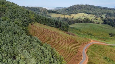 /international/us/00-lot-101-irwin-grocery-road-laurel-springs-nc-110120004620/