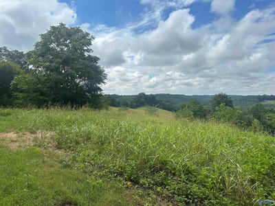 /international/us/5a-young-hollow-road-belvidere-tn-110101112180/