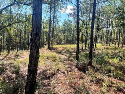 /international/us/state-highway-225-bay-minette-al-110103376714/