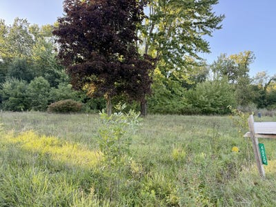 /international/us/4050-division-street-wayland-mi-110110147931/