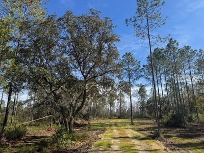 /international/us/ne-150th-ave-road-fort-mc-coy-fl-110098908852/