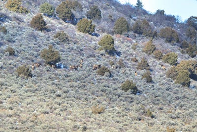 /international/us/tbd-highway-13-meeker-co-110101238491/