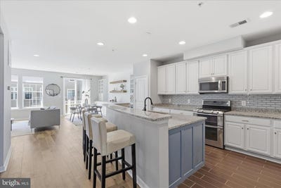 /international/us/44110-vaira-ter-chantilly-va-110108568190/
