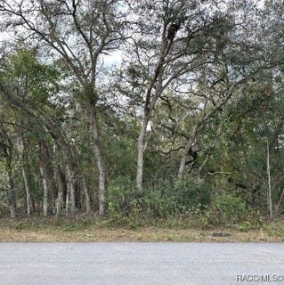 /international/us/56-n-fresno-avenue-hernando-fl-110101256119/?lang=en