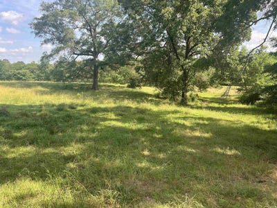 /international/us/mountain-view-glenwood-ar-110108470972/