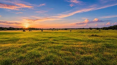 /international/us/tbd-county-road-310-jonesboro-tx-110105928012/