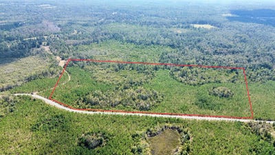/international/us/sw-wonderwood-street-lot-2-greenville-fl-110110368034/
