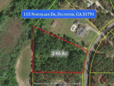 /international/us/115-northlake-drive-sylvester-ga-110104141756/