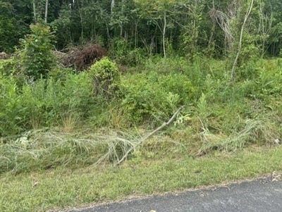 /international/us/whispering-pines-rd-lot-25-26-27-28-max-meadows-va-110108661542/