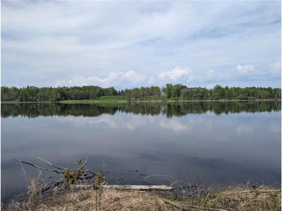 /international/us/tbd-town-road-117-birchdale-mn-110108437131/