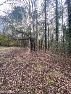 /international/us/woodland-drive-lot-81-cataula-ga-110107775471/