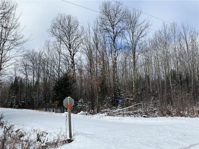 /international/us/uncle-toms-road-lot-3-loretta-wi-110096177695/