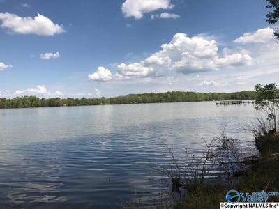 /international/us/115-county-road-714-cedar-bluff-al-110098346154/