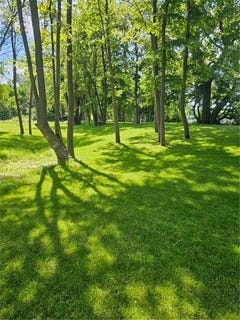 /international/us/xxx-county-road-27-alexandria-mn-110100779188/
