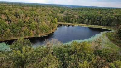 /international/us/county-road-427-cross-timbers-mo-110110269537/