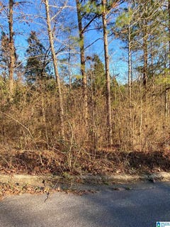 /international/us/woodland-hills-drive-lot-2-and-3-springville-al-110074652600/