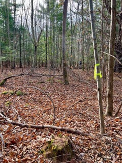 /international/us/25x-frontage-rd-keeseville-ny-110095913599/?lang=zh-cn