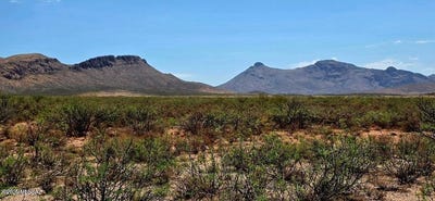 /international/us/lot-287-n-calle-del-prado-douglas-az-110101482873/?lang=zh-cn