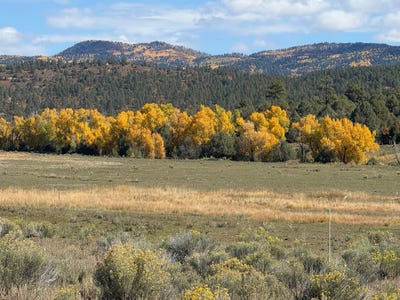 /international/us/16853-us-84-tierra-amarilla-nm-110104274425/